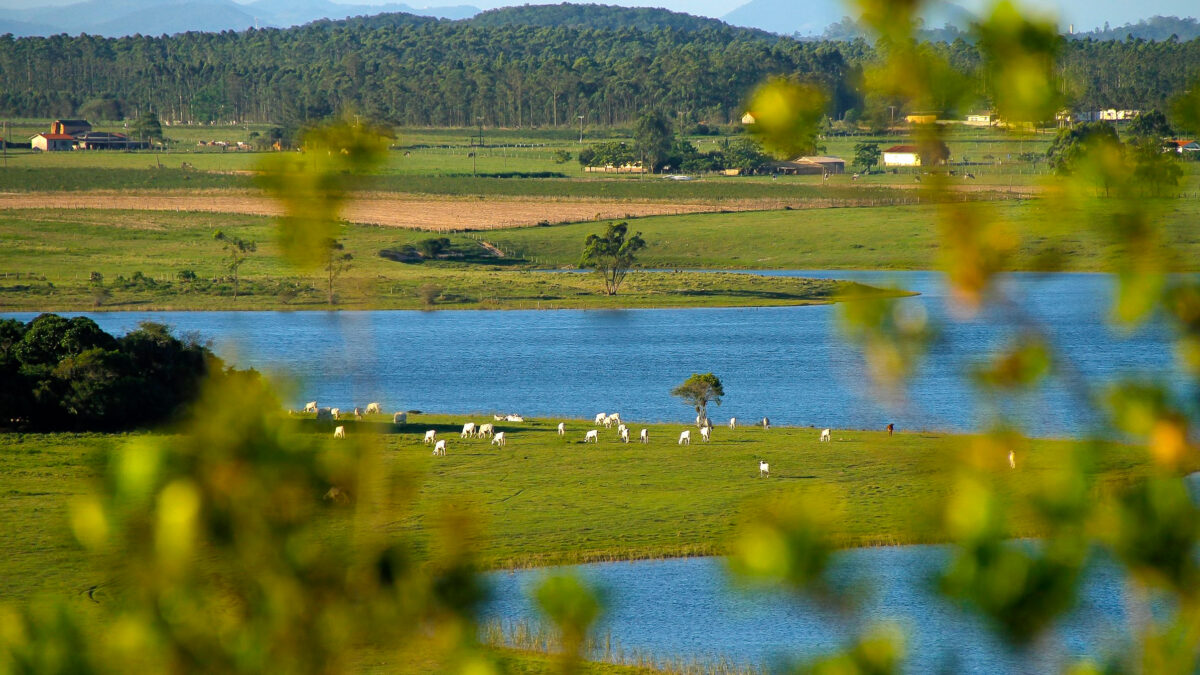 Lagoas