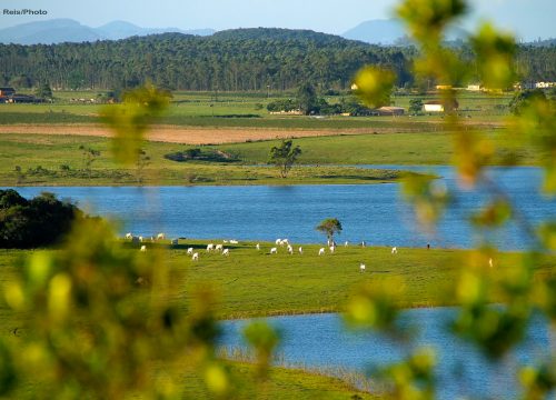 Lagoa - Arroio Corrente